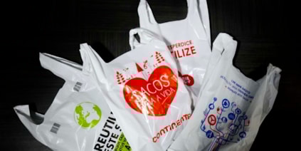 ¿Una bolsa de la compra respetuosa con el medio ambiente? Deco Proteste recomienda
